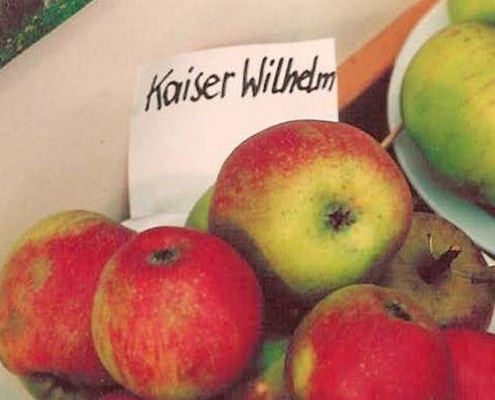 Apfel Kaiser Wilhelm